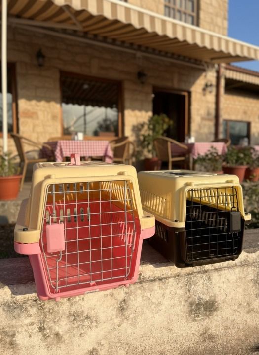 Portable Jet Box Pet Carrier for Cats & Puppies – Safe, Comfortable & Travel Friendly