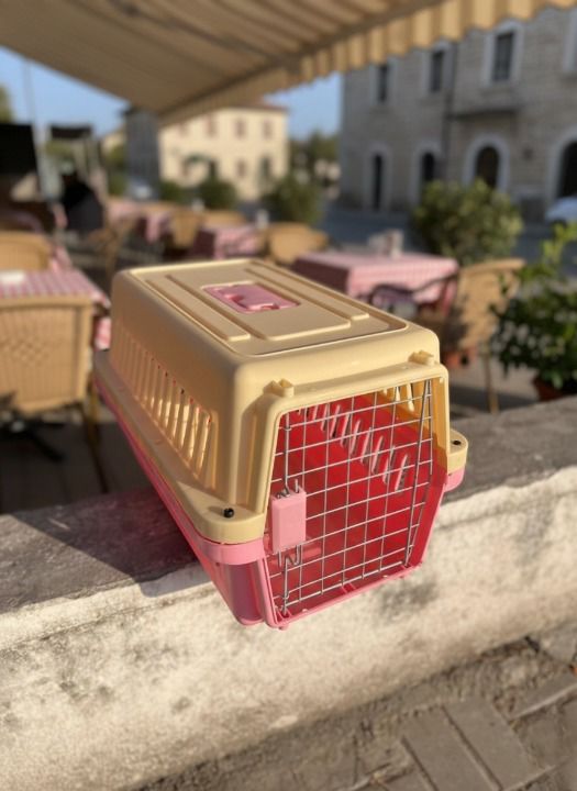 Portable Jet Box Pet Carrier for Cats & Puppies – Safe, Comfortable & Travel Friendly